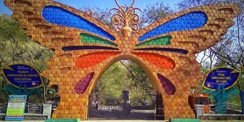 Pandit Jawaharlal Nehru Botanical Garden, Nashik, Maharashtra - Vushii.com Pandit Jawaharlal Nehru Botanical Garden, Nashik, Maharashtra - Vushii.com